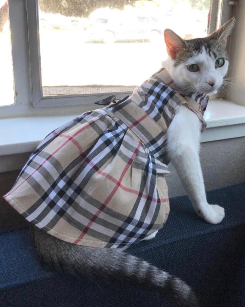 Pet Cat Dress Plaid Tan,Black bowtie dress