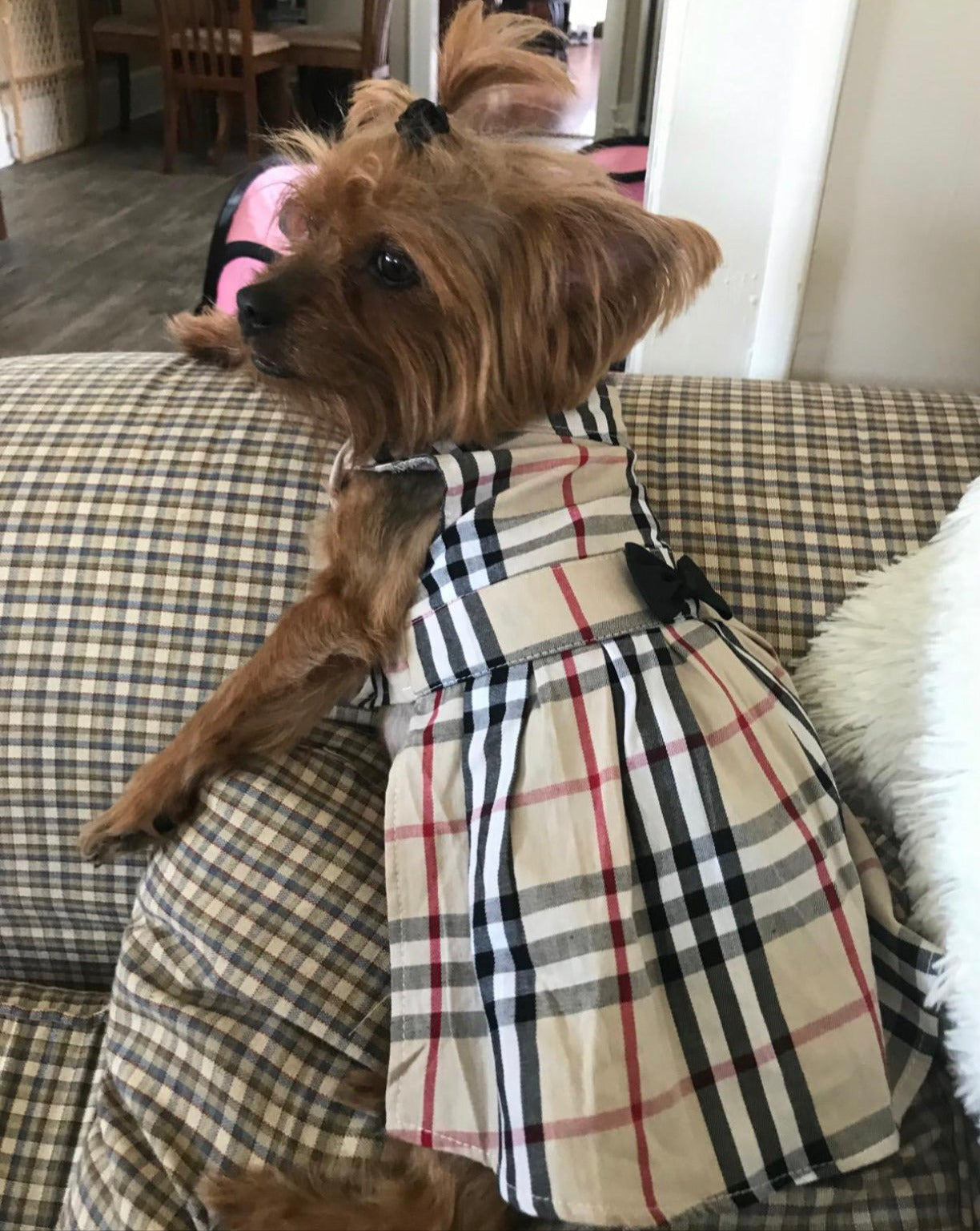 Premium Dog Dress -Chic Checkered Canine Couture- Furberry  Pet Dog