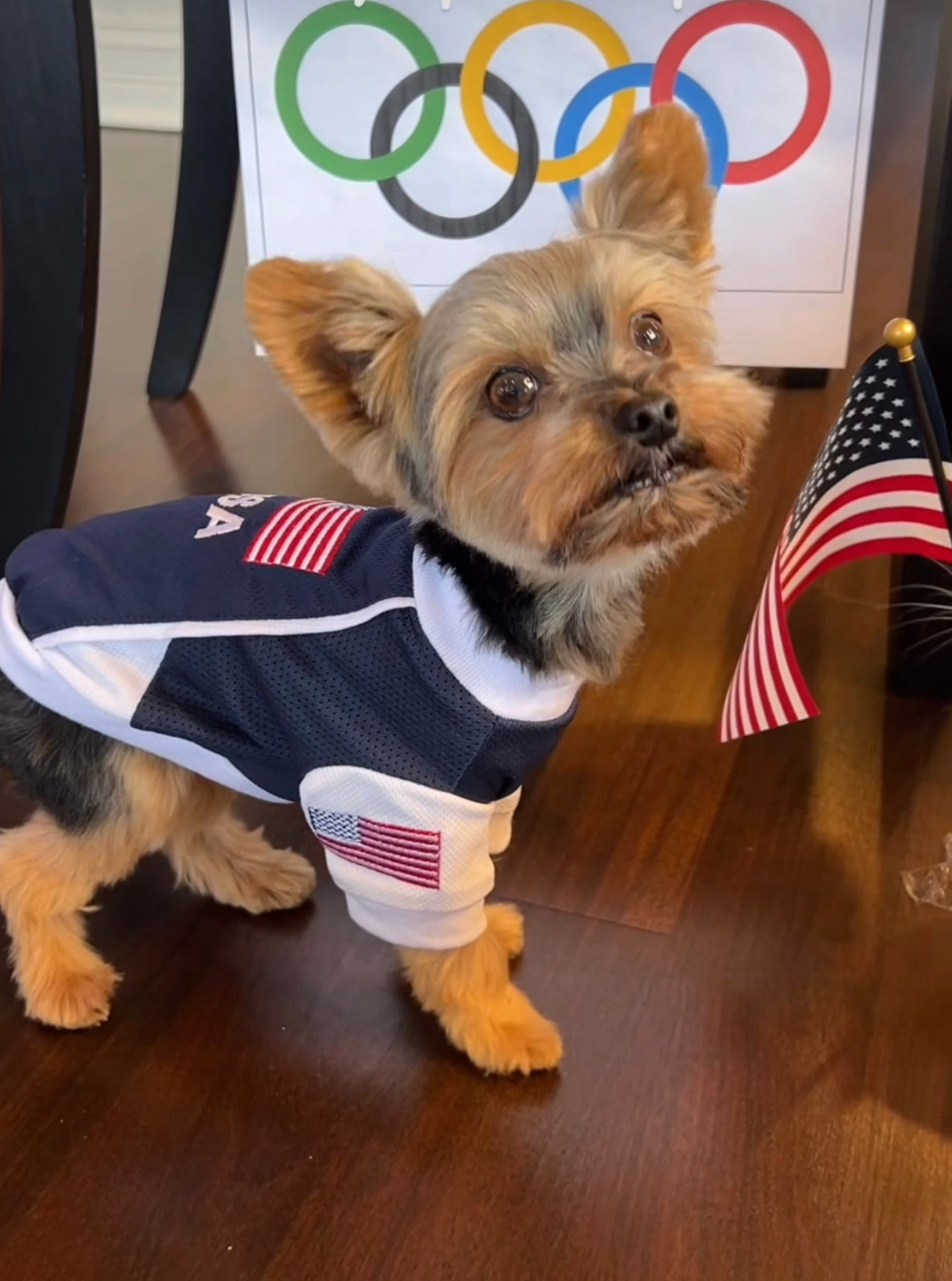 Pawlympic Pups Sportswear: American flag dog shirt Dog Jerseys