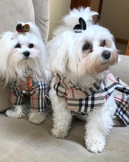 Chic Checkered Canine Couture-Elegance Premium dog/pet dress