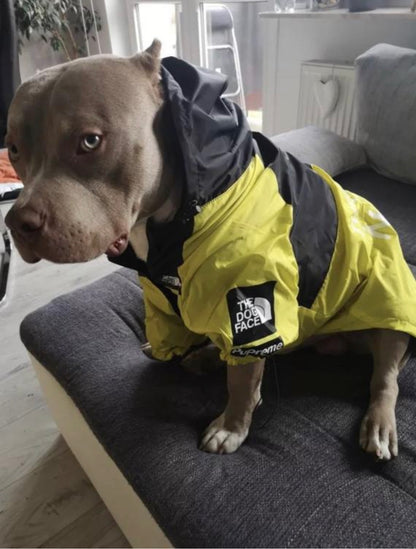 Yellow North Face Dog Jacket